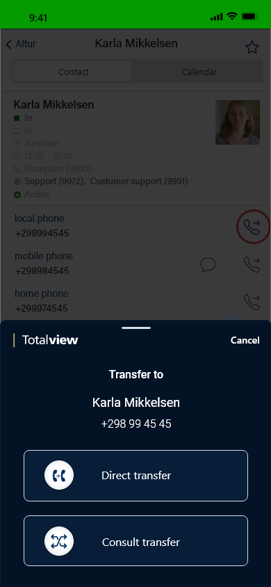 ../../../_images/06-contacts-details-transfer-promt1.png